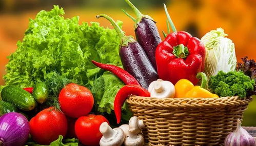 垃圾分類(lèi)新潮流 苗木廢棄物如何處理？生活垃圾分類(lèi)實(shí)用小妙招